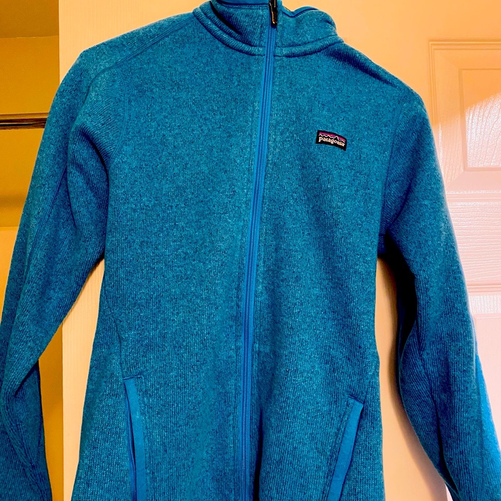 Patagonia Better Sweater Fleece Jacket-full zip